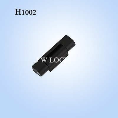 H1002